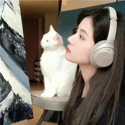 悬疑罪案